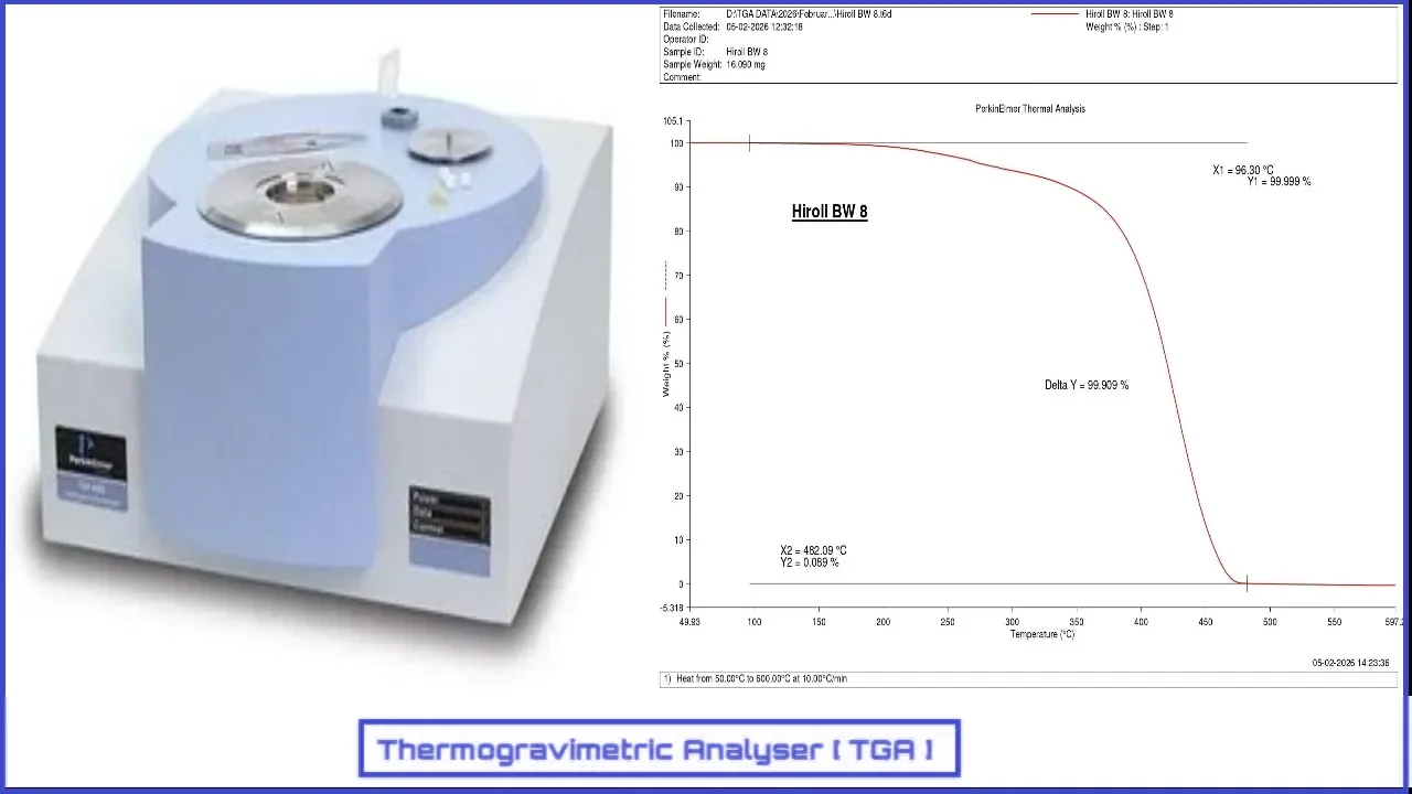 Thermogravimetric Analysis (TGA)