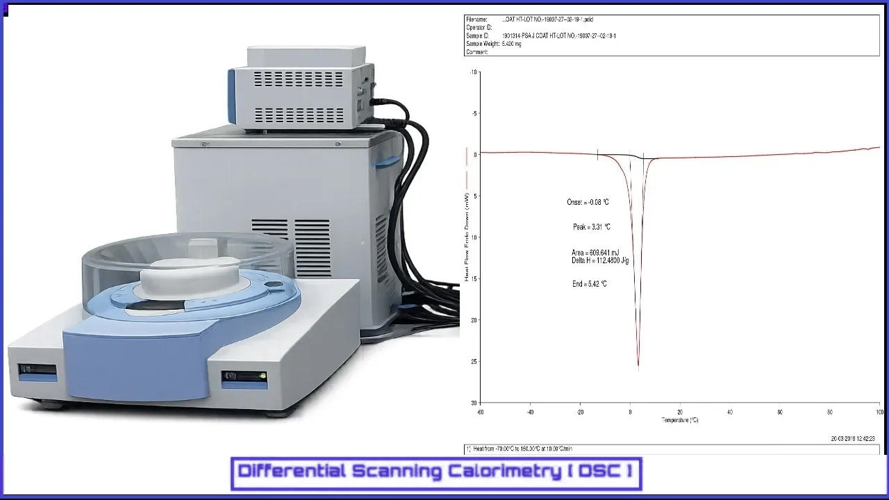 Differential Scanning Calorimetry (DSC)