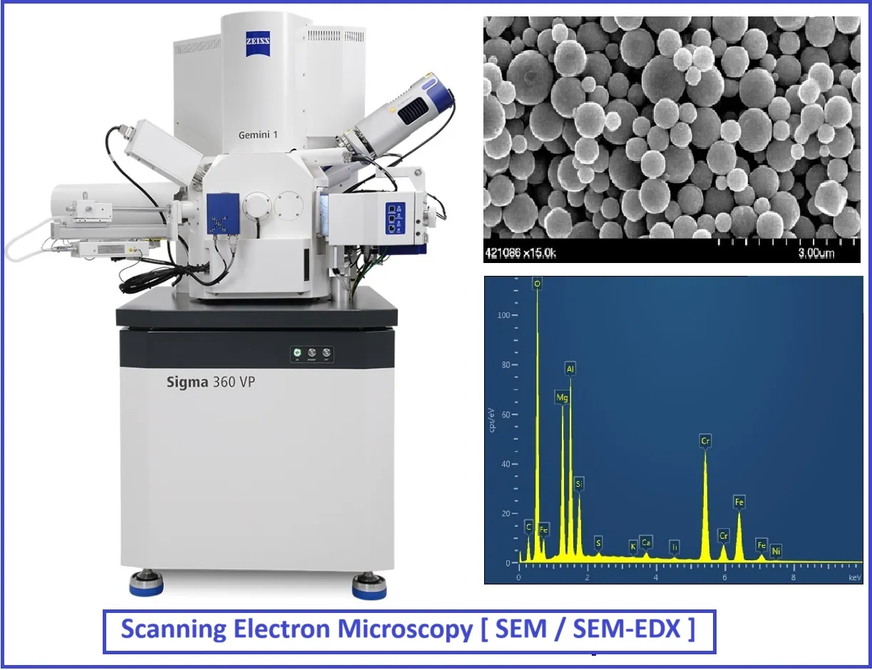 Scanning Electron Microscopy (SEM)