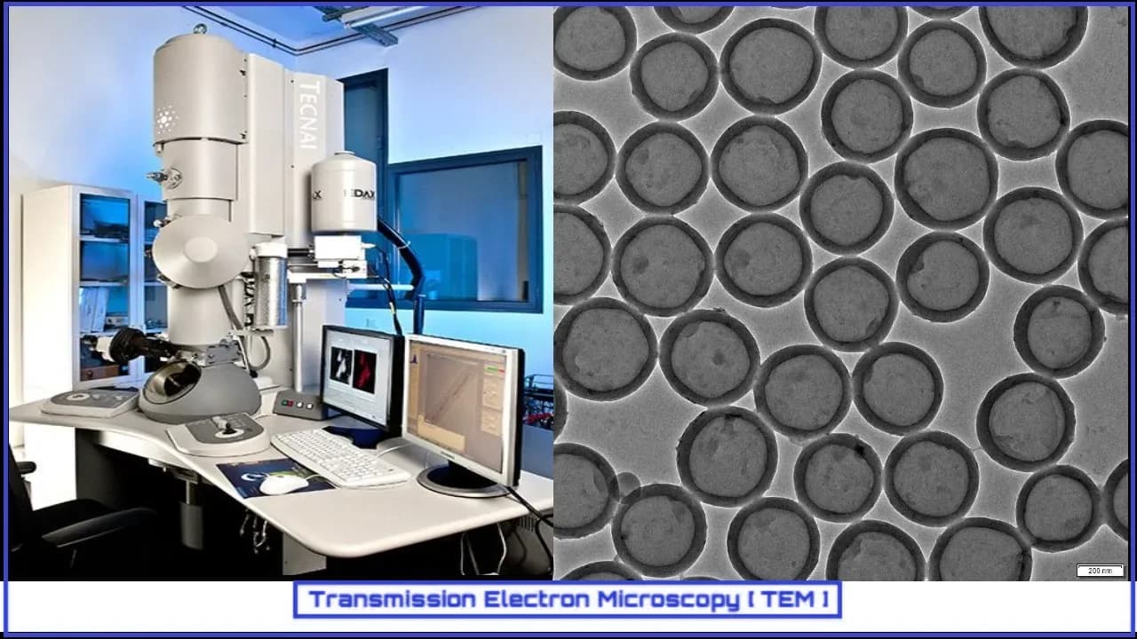 Transmission Electron Microscopy (TEM)