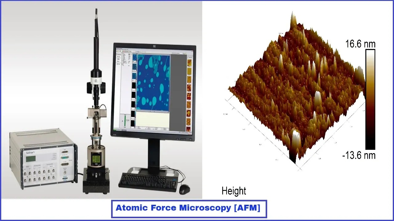 Atomic Force Microscopy (AFM)