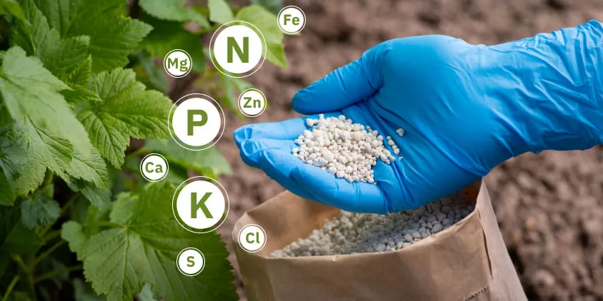 Fertiliser & Soil Analysis at Laxmi Analytical Laboratories