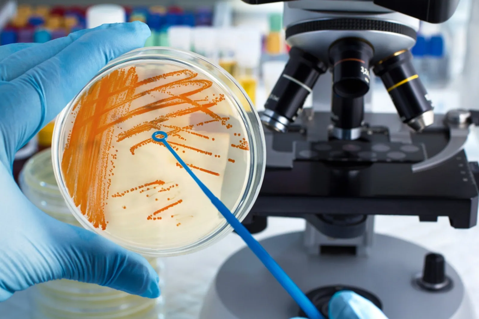 Microbiological Analysis, analysis lab in Mumbai, Maharashtra